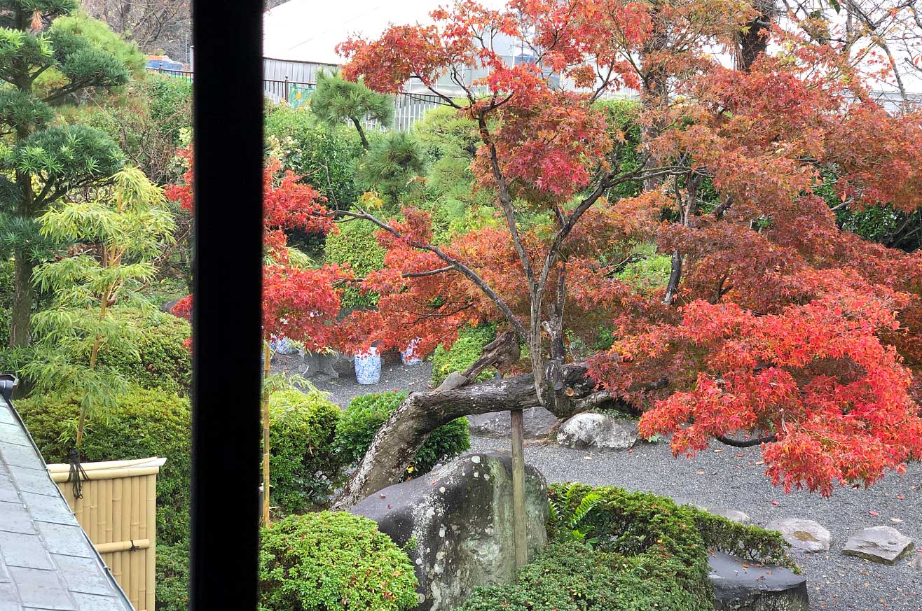 那古井間　桜の間